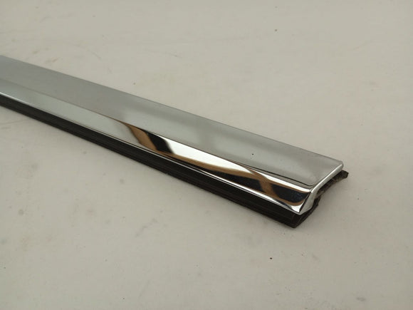 Tesla Model S Rear Left Door Seal