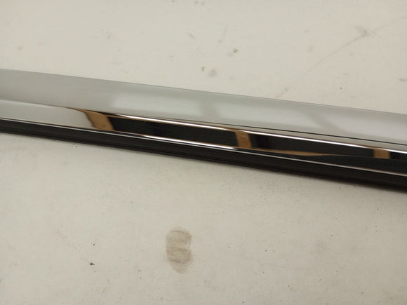 Tesla Model S Rear Left Door Seal