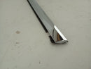 Tesla Model S Rear Left Door Seal-9