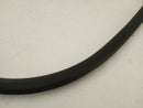 Tesla Model S Rear Right Door Seal-4