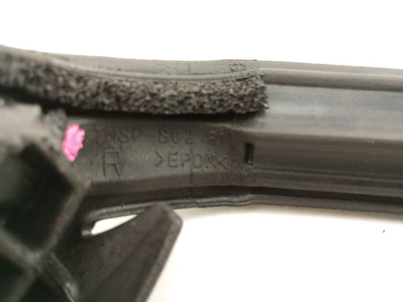 Tesla Model S Rear Right Door Seal