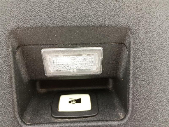 Tesla Model S Hood Latch Cover