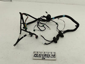 Tesla Model S Rear Left Door Wiring Harness