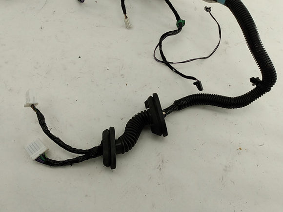 Tesla Model S Rear Left Door Wiring Harness