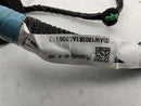Tesla Model S Rear Left Door Wiring Harness-9