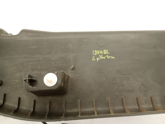 Chevrolet Silverado 1500 Rear Left C Pillar