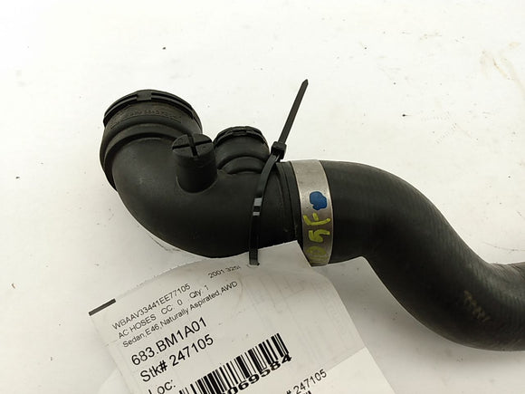 BMW 325i Radiator Hose