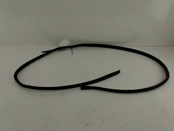 BMW 318i Right Side Window Moulding