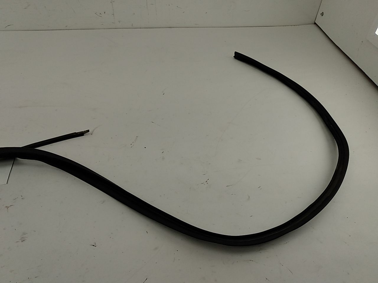 BMW 318i Right Side Window Moulding