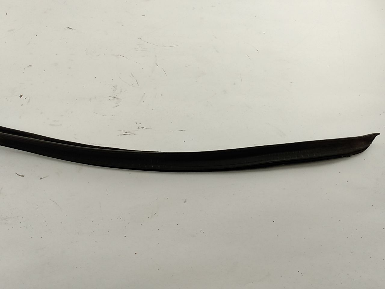 BMW 318i Right Side Window Moulding