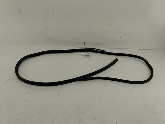 BMW 318i Left Side Window Moulding