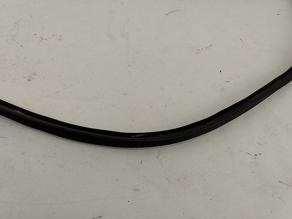 BMW 318i Left Side Window Moulding