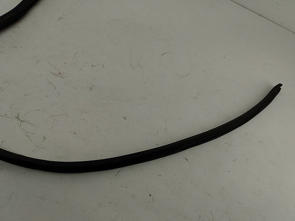 BMW 318i Left Side Window Moulding