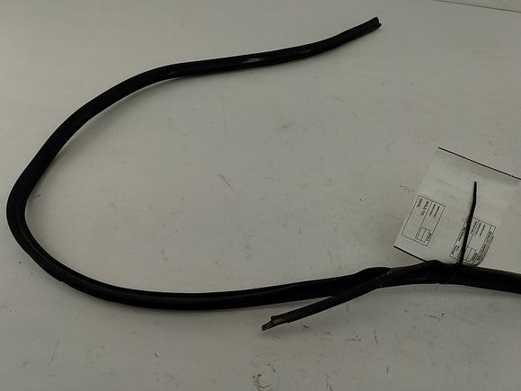 BMW 318i Left Side Window Moulding