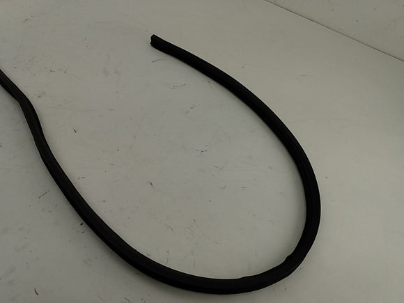 BMW 318i Left Side Window Moulding