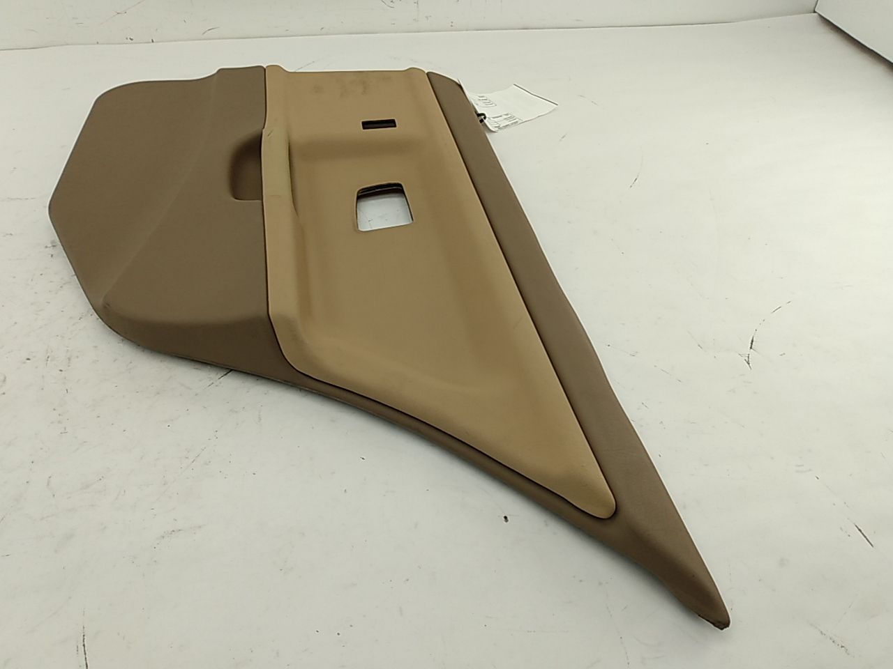 BMW 318i Rear Right Door Trim Panel