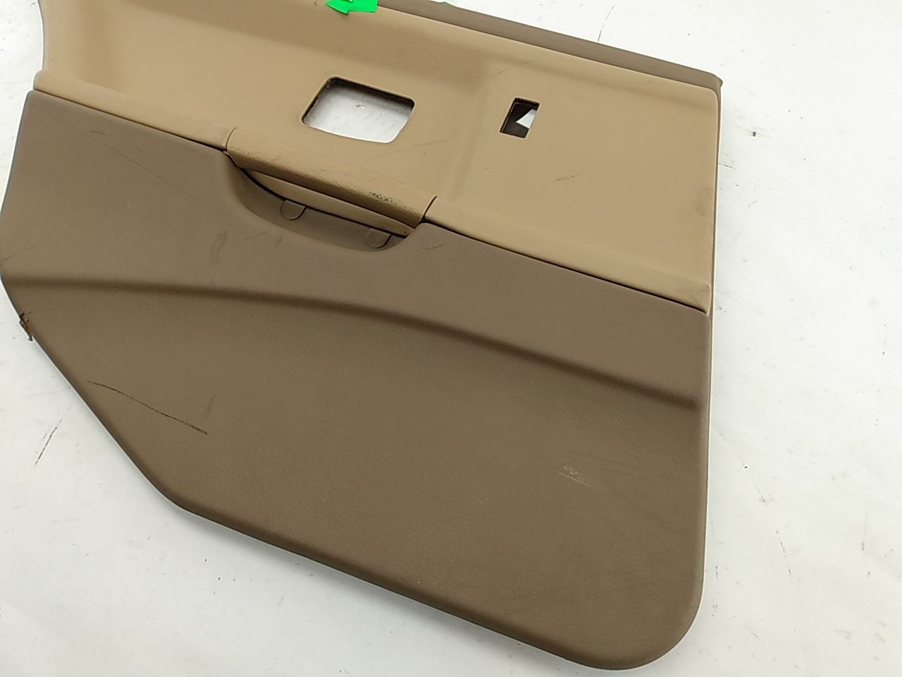 BMW 318i Rear Left Door Trim Panel