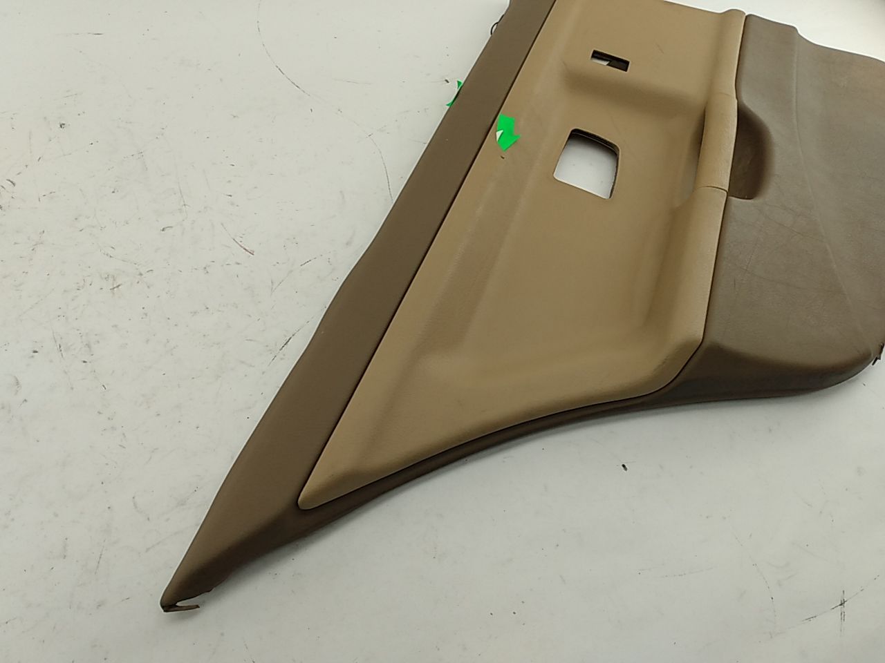 BMW 318i Rear Left Door Trim Panel