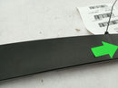 BMW 318i Rear Right Exterior Door Trim-4
