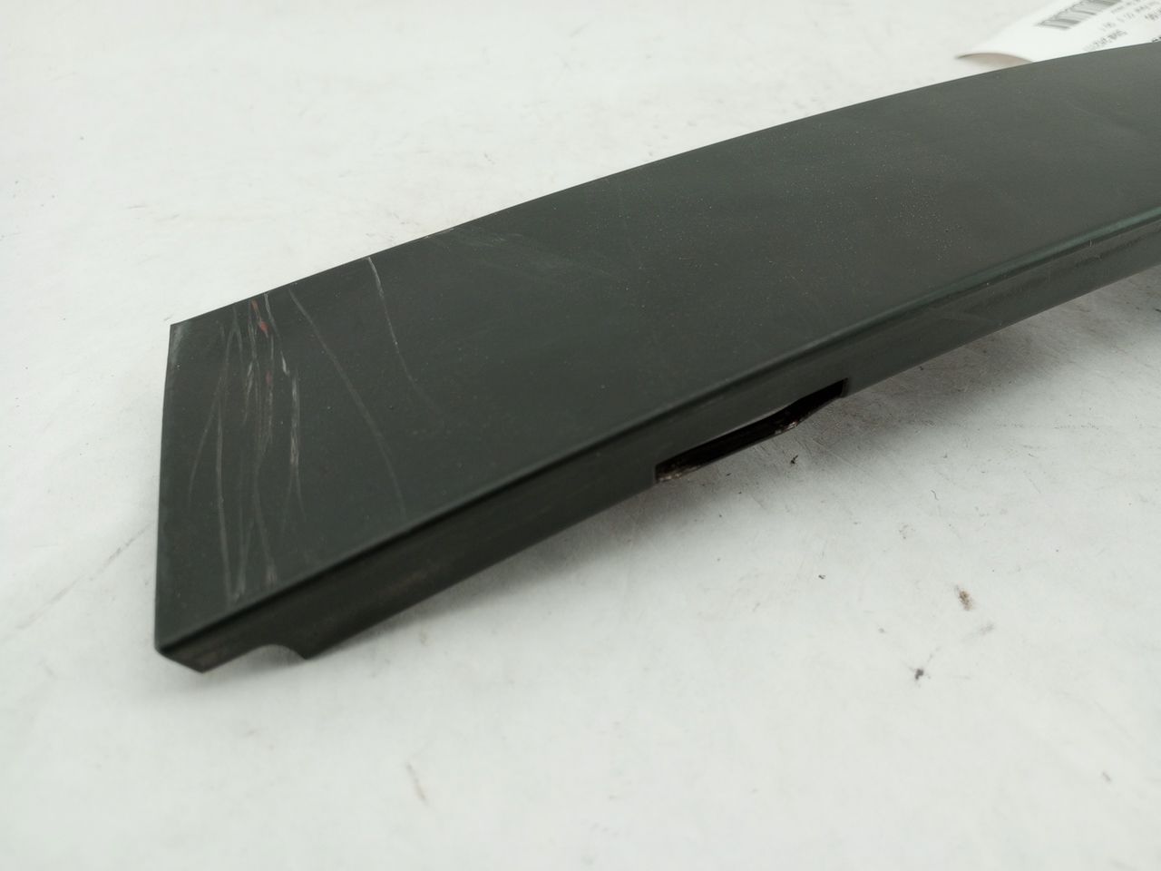 BMW 318i Rear Right Exterior Door Trim