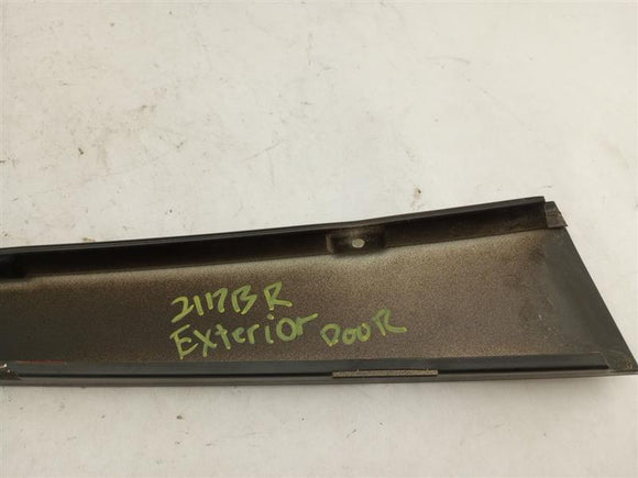 BMW 318i Rear Right Exterior Door Trim