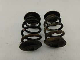 BMW 318i Rear Coil Spring Set - 0