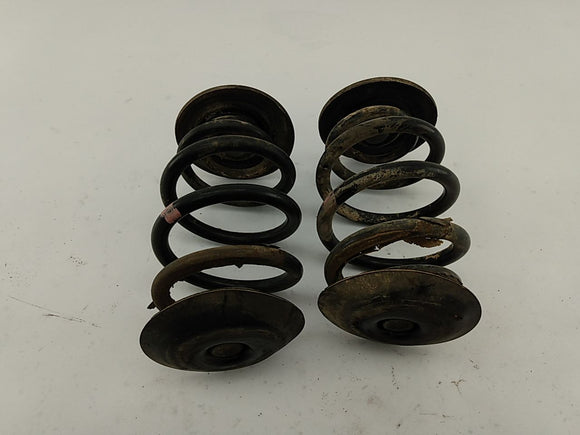 BMW 318i Rear Coil Spring Set