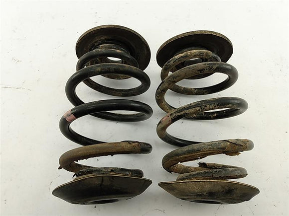 BMW 318i Rear Coil Spring Set