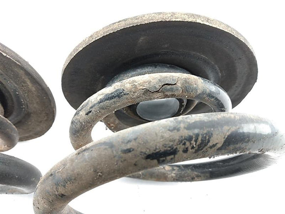 BMW 318i Rear Coil Spring Set
