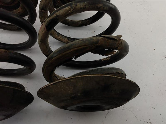 BMW 318i Rear Coil Spring Set