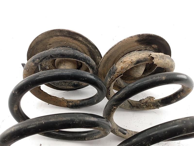 BMW 318i Rear Coil Spring Set