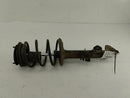 BMW 318i Front Right Strut Assembly-2