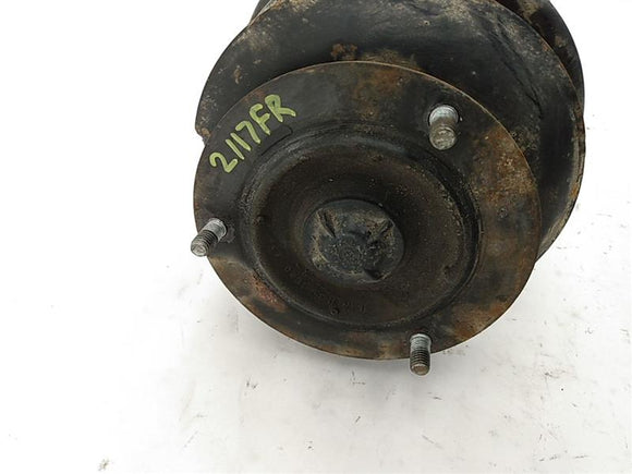 BMW 318i Front Right Strut Assembly