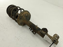 BMW 318i Front Right Strut Assembly-12