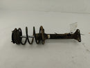 BMW 318i Front Left Strut Assembly-2
