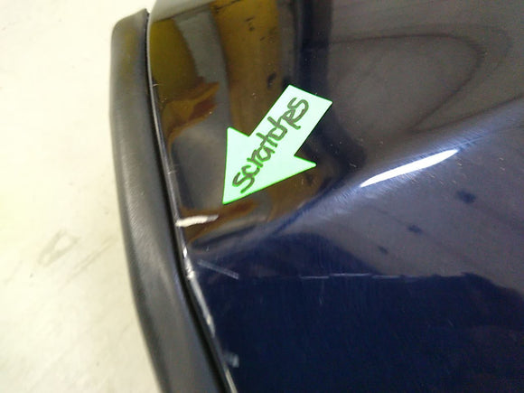 Tesla Model S Rear Left Door Assembly
