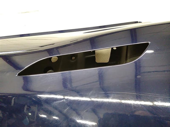 Tesla Model S Rear Left Door Assembly