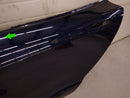 Tesla Model S Rear Left Door Assembly-7
