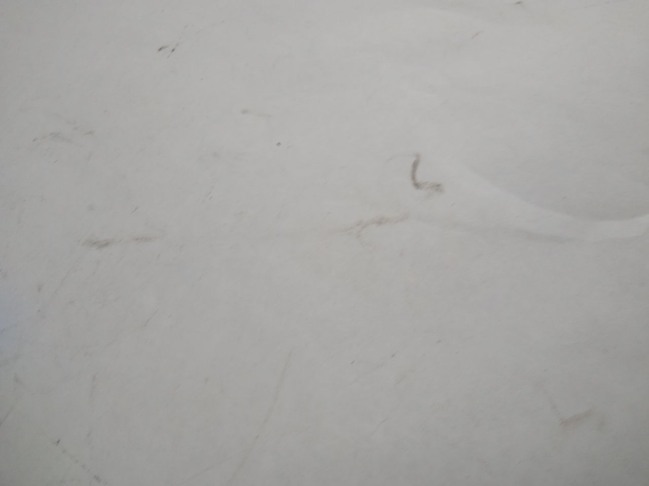 Hyundai Tiburon Accelerator Contorl Cable
