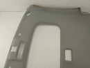 Acura RSX HeadLiner-5
