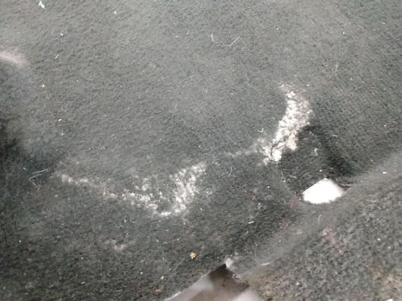 Acura RSX Complete Floor Carpet