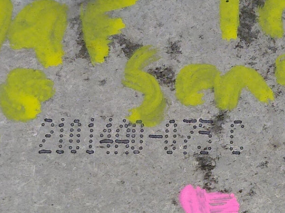 Acura RSX Automatic Transmission Safety Neutral Switch