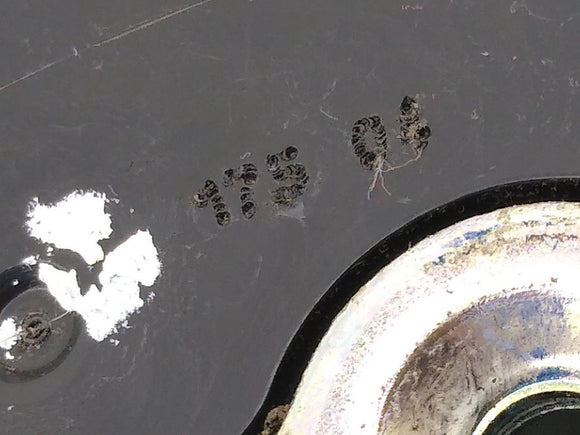 Jeep Liberty Driver Left Rear Door Lock Actuator