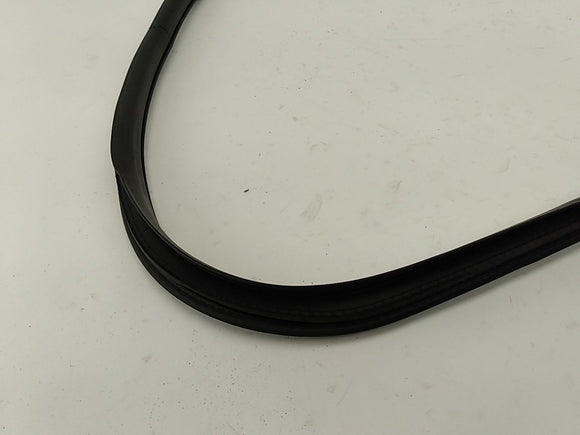 Alfa Romeo Giulia Driver Left Rear Door Seal Moulding