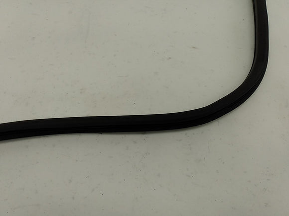 Alfa Romeo Giulia Driver Left Rear Door Seal Molding Weather Strip