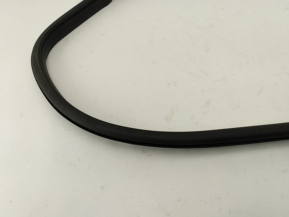 Alfa Romeo Giulia Driver Left Rear Door Seal Molding Weather Strip