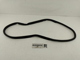Alfa Romeo Giulia Passenger Right Rear Door Seal Molding Weather Strip