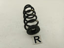 Alfa Romeo Giulia Pair Of Rear Coil Springs-9
