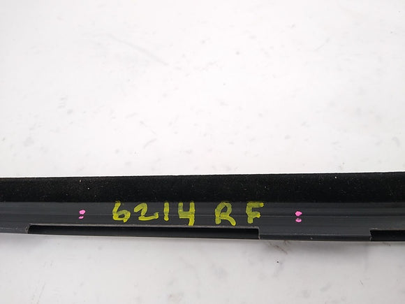 Alfa Romeo Giulia Passenger Right Front Exterior Door Window Molding Trim