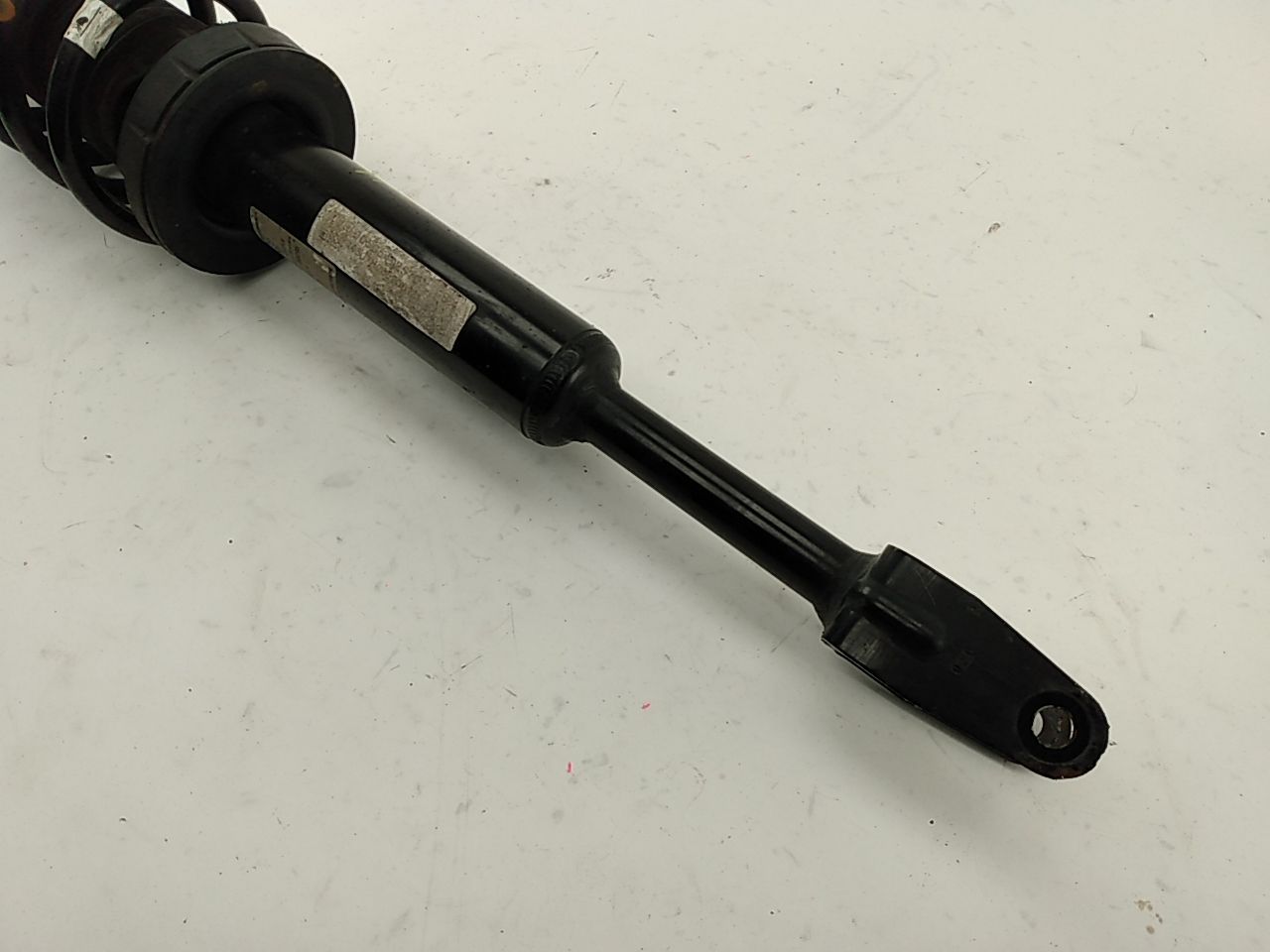 Alfa Romeo Giulia Driver Left Front Shock Absorber